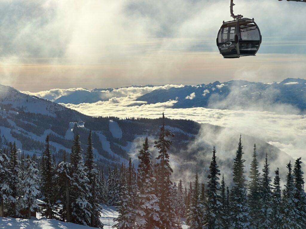 Blackcomb Gondola cabin glides over snow-covered pine forests with panoramic Coast Mountain Range views.